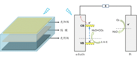 说明: 光化学燃料电池