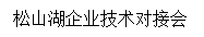 文本框: 松山湖企业技术对接会